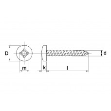 PLAATSCHROEF RVS CILINDERKOP PHILIPS 3.5X13MM @