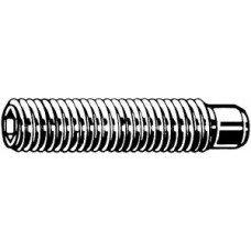 STELSCHROEF A2 MET STIFT RVS M5X5