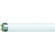 TL-LAMP KLEUR 840 PHLIPS COOL WHITE 29055 36 WATT