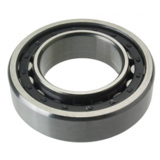KOGELLAGER SKF 16005-2RS1 #